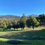 6261 Meadowstone Drive