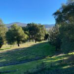 6261 Meadowstone Drive