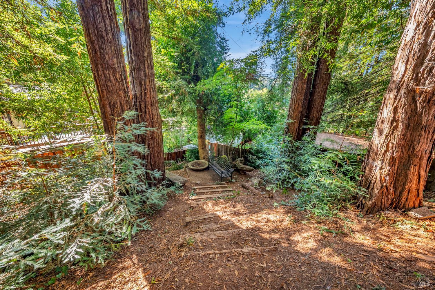 10864 Ogburn Ln.  in Forestville