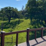 6271 Meadowstone Drive