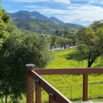 6271 Meadowstone Drive